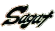 Sagat