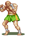 Sagat Pic