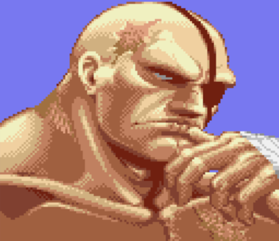 [Sagat]